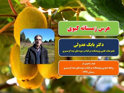 آموزش و بررسی هرس زمستانه كیوی توسط عضو هیات علمی پژوهشكده مركبات و میوه‌ های نیمه ‌گرمسیری