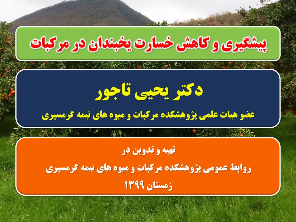 كلیپ كوتاه توصیه ترویجی با موضوع پیشگیری و كاهش خسارت یخبندان در مركبات توسط عضو هیات علمی پژوهشكده مركبات و میوه‌ های نیمه ‌گرمسیری