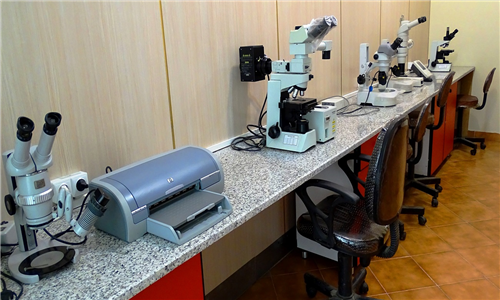DSC00695 - Copy.JPG