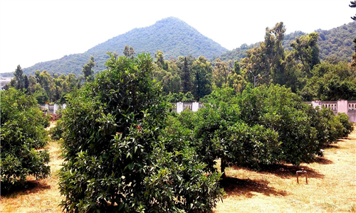 20150622_124947.jpg