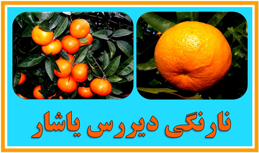 morakabatjadid (2).jpg