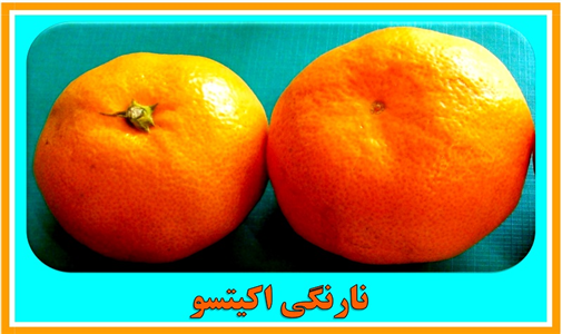 arghamejadid3 (2).jpg