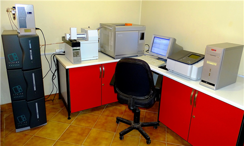 DSC00693 - Copy.JPG