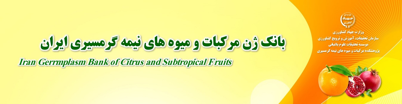 Iran Gerrmplasm Bank of Citrus and Subtropical Fruits.jpg
