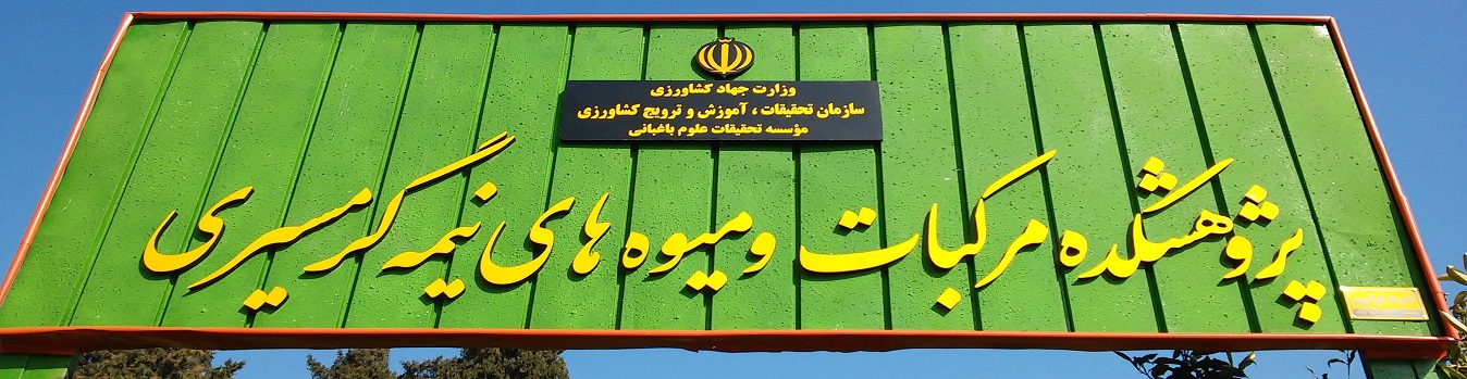 as (1).jpg